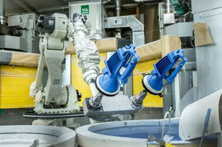 專訪法國賽峰公司高層 貴陽工廠硅鐵粒產品質量卓越，引領行業標準