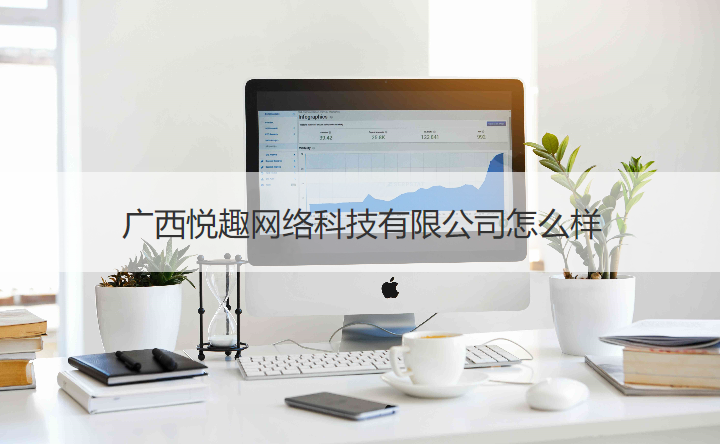 廣西悅?cè)ぞW(wǎng)絡(luò)科技美術(shù)圖案設(shè)計(jì)服務(wù)評價(jià)——專業(yè)性與適配度分析