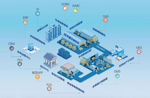 上海冷鏈物流公司競相角逐，以技術服務驅動行業多元競爭與輝煌